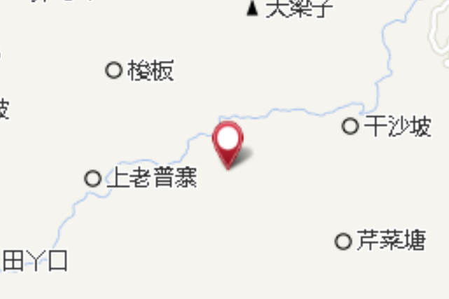 杉林果樹 杉林果樹