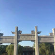 文游台 文游台