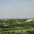 團泊村 團泊村
