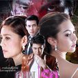 真愛無界(泰國2014年Piyapan Choopetch執導電視劇)