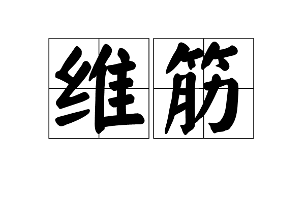 維筋 維筋