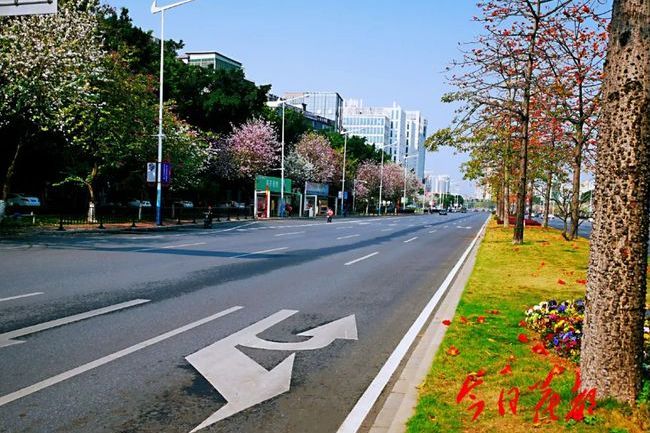 迎賓大道(廣東省高州市境內的一級公路)