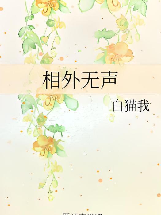 相外無聲 相外無聲