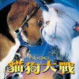 貓狗大戰2011 貓狗大戰2011