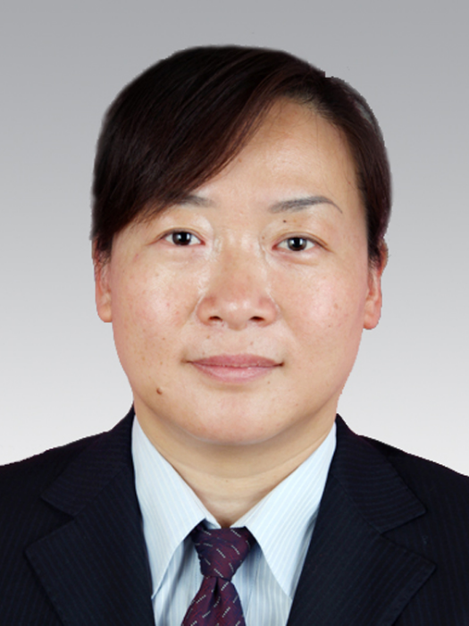田莉(陝西省鹹陽市涇陽縣人力資源和社會保障局黨組成員)