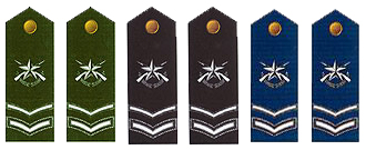 陸海空軍三級士官肩章(1999-2007)