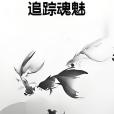 追蹤魂魅 追蹤魂魅