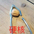 硬核(網路流行詞) 硬核(網路流行詞)