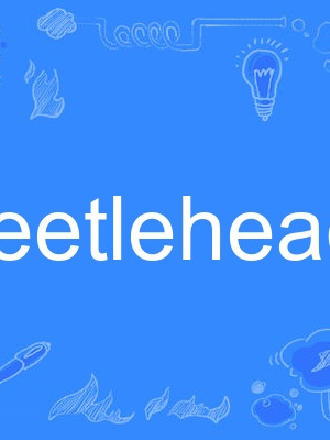 beetlehead beetlehead