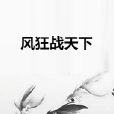 風狂戰天下 風狂戰天下