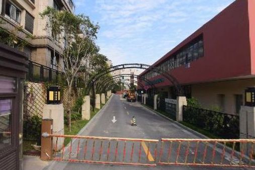 德水香林 德水香林