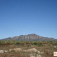 不老屯村 不老屯村
