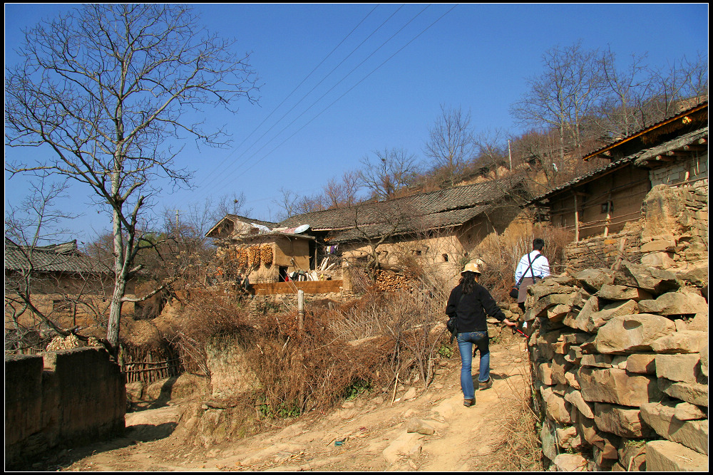 義山村(福建省泉州市洛江區馬甲鎮義山村)