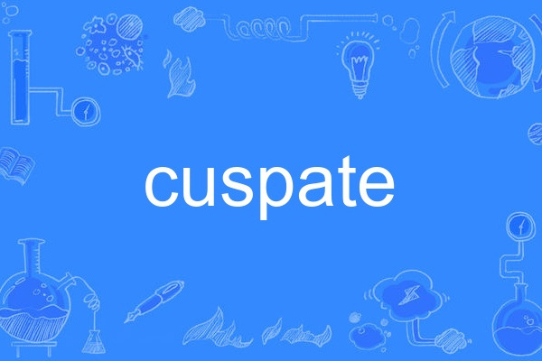 cuspate cuspate