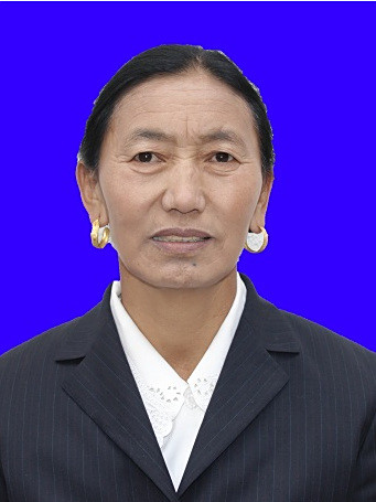 玉珍(西藏自治區人大常委會委員)
