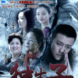 獨生子(2012年林申、朱傑主演電視劇)