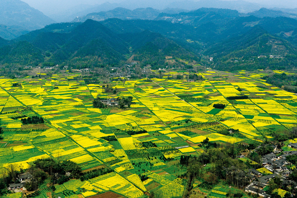 迎鳳村