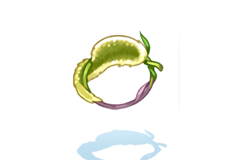 狐尾草戒指 狐尾草戒指