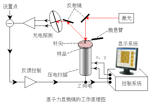 AFM(原子力顯微鏡)