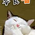 零食喵 零食喵