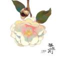 茶花開了(2024年王睿卓演唱的流行歌曲) 茶花開了(2024年王睿卓演唱的流行歌曲)