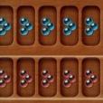 美國播棋 美國播棋
