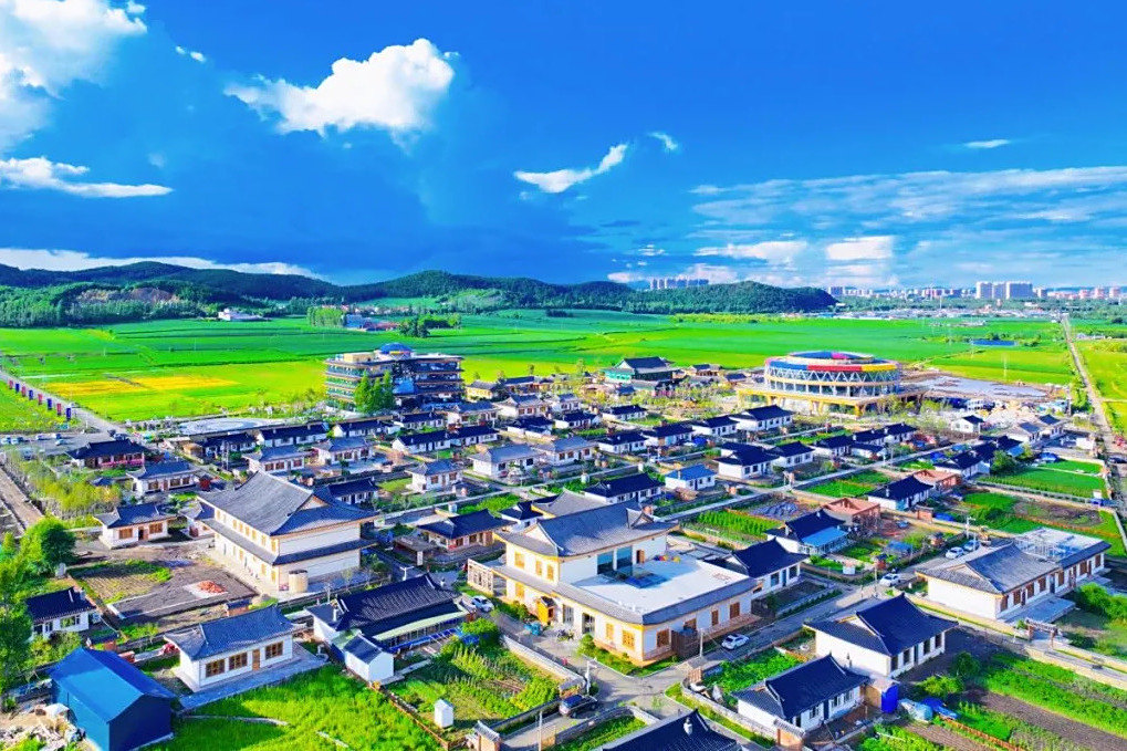 中成村 中成村