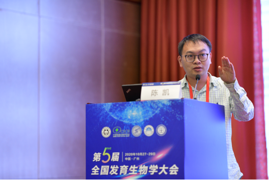 陳凱(昆明理工大學教授,碩士生導師) 陳凱(昆明理工大學教授,碩士生導師)