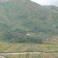 周家村(雲南省昆明市東川區阿旺鎮周家村) 周家村(雲南省昆明市東川區阿旺鎮周家村)