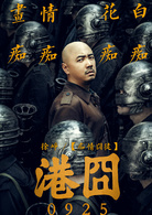 港囧(2015年徐崢執導電影)