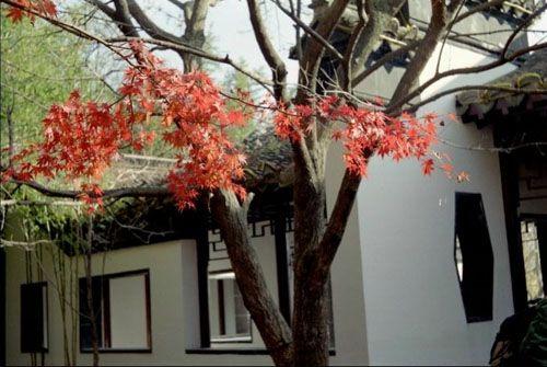 屏竹禪院 屏竹禪院
