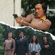 國際刑警(1978年TVB電視劇)