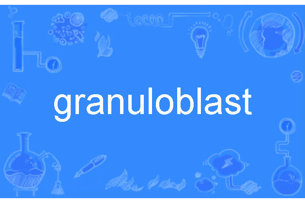 granuloblast