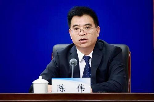 陳偉(河南物產集團有限公司黨委書記、董事長)