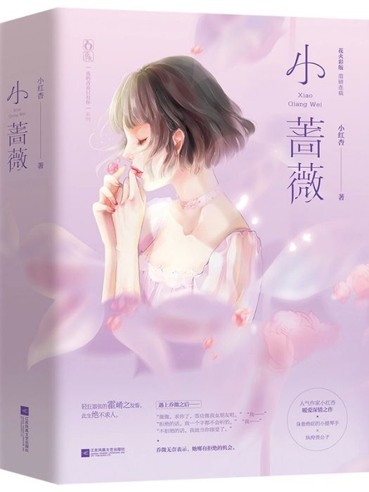 小薔薇(2019年江蘇鳳凰文藝出版社出版的圖書) 小薔薇(2019年江蘇鳳凰文藝出版社出版的圖書)