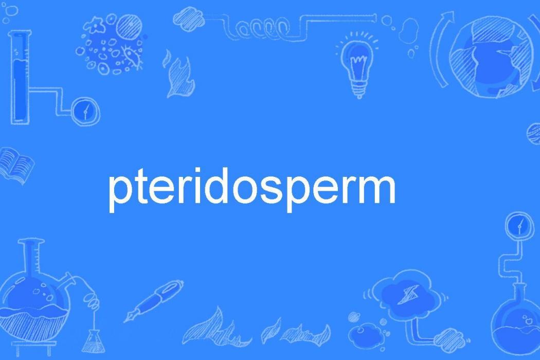 pteridosperm
