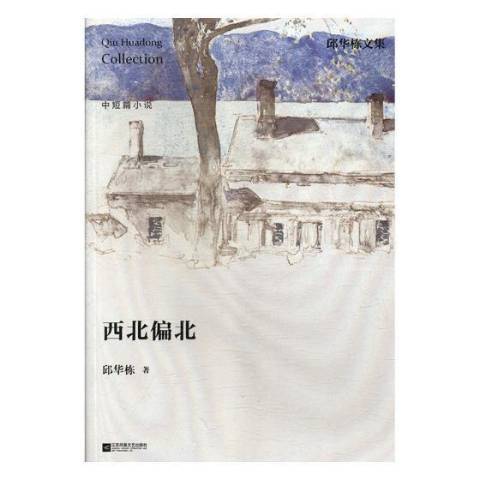 西北偏北(2018年江蘇鳳凰文藝出版社出版的圖書) 西北偏北(2018年江蘇鳳凰文藝出版社出版的圖書)