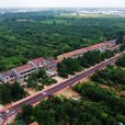 條河村(江蘇省宿遷市沭陽縣桑墟鎮下轄村) 條河村(江蘇省宿遷市沭陽縣桑墟鎮下轄村)