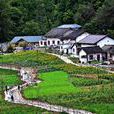 朱家灣村(湖北省宜昌市夷陵區樂天溪鎮朱家灣村) 朱家灣村(湖北省宜昌市夷陵區樂天溪鎮朱家灣村)