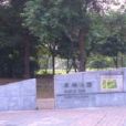 康樂公園 康樂公園