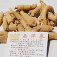 西洋參(西洋參)