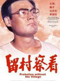 李小璐 李小璐