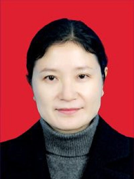辛莉(武隆區人大常委會副主任) 辛莉(武隆區人大常委會副主任)
