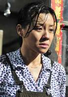 萬家燈火(2009年安戰軍執導電影)