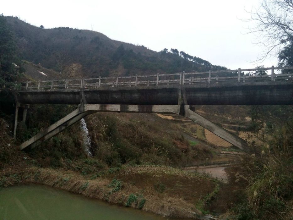 定情橋 定情橋