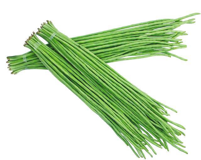 綿豇8號 綿豇8號