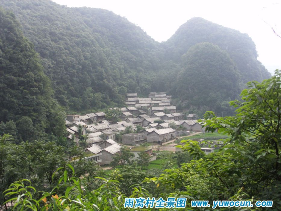 雨窩村 雨窩村