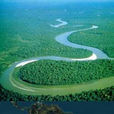 亞馬孫河(亞馬遜（位於南美洲的世界第二長河）)