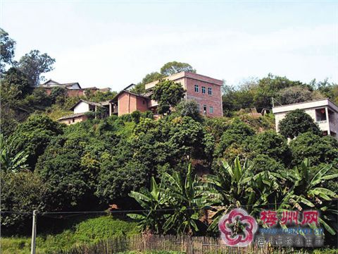 樓江村 樓江村