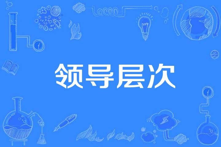 領導層次 領導層次
